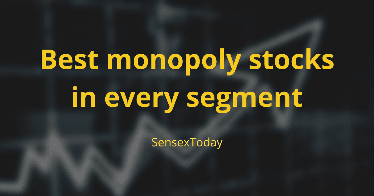 Best monopoly stocks in every segment